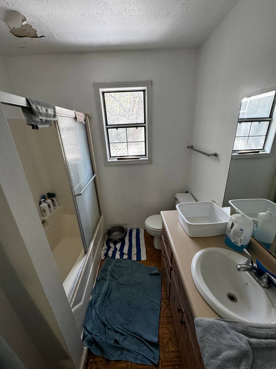 Bathroom with peeling ceiling in the Hendersonville house