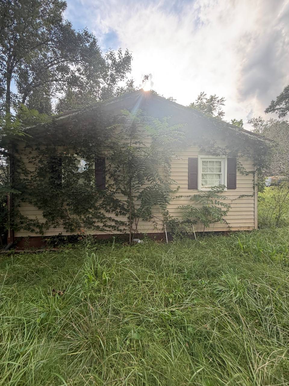 Side of the Morganton house covered in vines and overgrowth